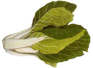 CHINESE-WHITE-CABBAGE-Baak-