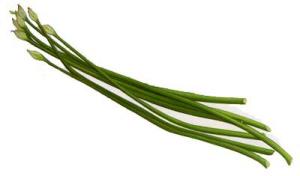 FLOWERING-GARLIC-CHIVES-Gau